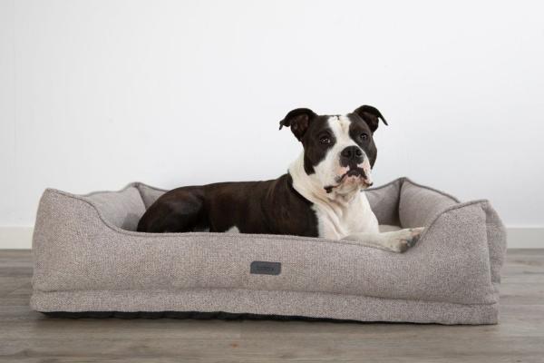 orthopädisches Hundebett